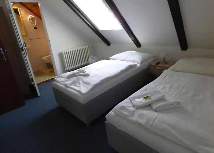 Svornost Hotel 3*