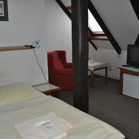 Hotel Svornost 3*