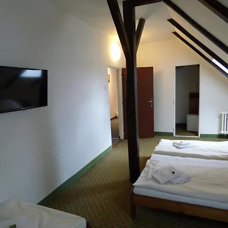 Hotel Svornost 3*