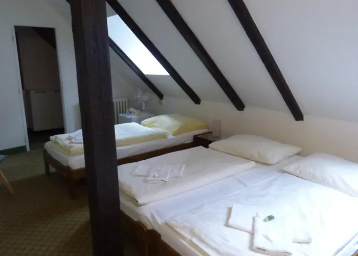 Svornost Hotel Praha