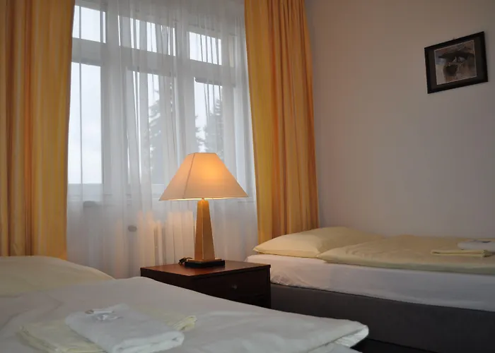 Hotell Svornost 3*