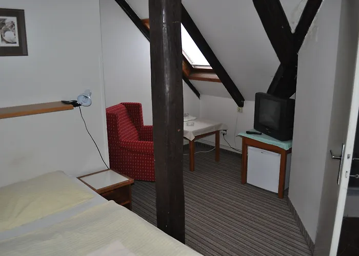 Svornost Hotel Praag